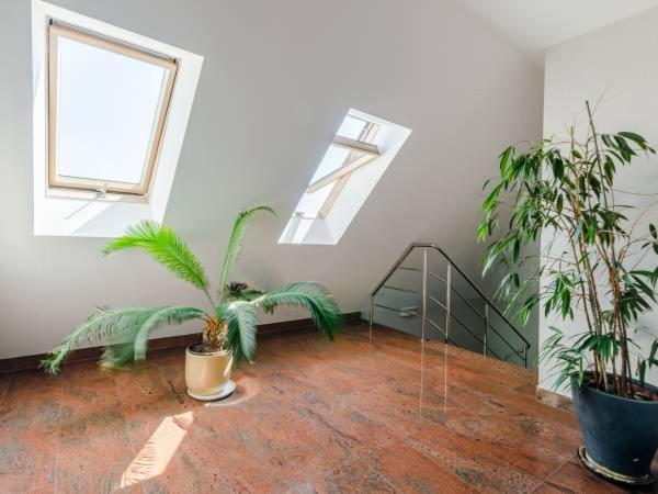 יאסטארניה Pokoje I Apartamenty ,,Lesne" מראה חיצוני תמונה